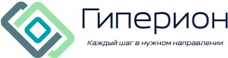 Логотип компании Гиперион